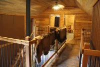 Sugar Loaf Lodge & Cabins - Homestays