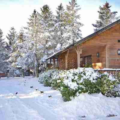 Rocklands Lodges Hotel Exterior