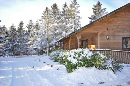 Rocklands Lodges Отели в г. Pickering
