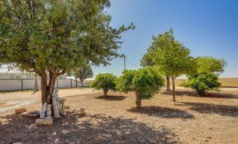 Lamesa Vacation Rental w/ Covered Patio & Fire Pit