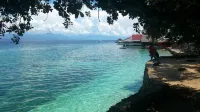 D´Gecko Hotel
