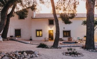 Hotel Casa Pedro Barrera