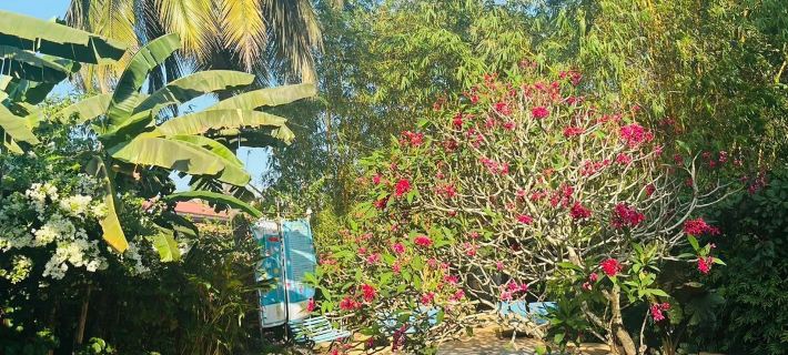 Cavala the Seaside Resort Hotels in Baga