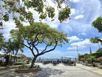 New Aloha Waikiki Ilikai Hotel Condo