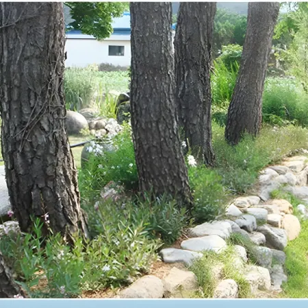 Samcheok Pine Scented House Pension