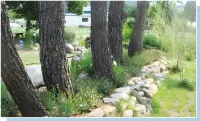 Samcheok Pine Scented House Pension