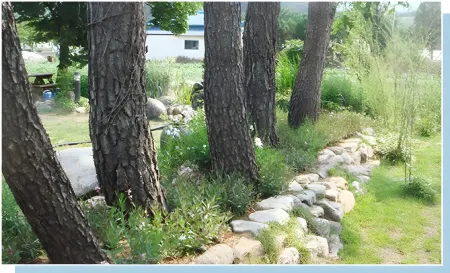 Samcheok Pine Scented House Pension