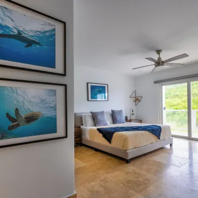 Anchors Hotel Hotels near Sea Ventures Pro Dive Centers