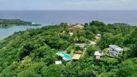 Jungle, waterfall, sea view, 5 minutes from beach, lap pool & gym. Bird watching