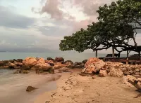 CharmingTropical beach retreat at Hellshire Beach Suite 2