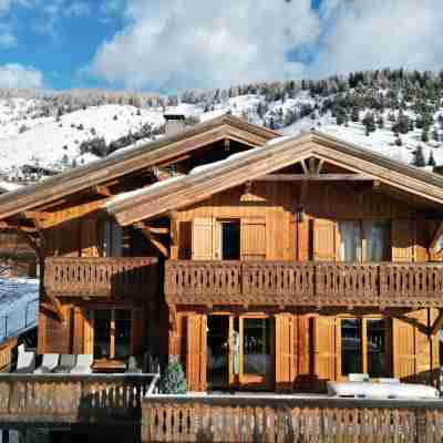 Chalet in Auron, 50m from the Riou ski lifts Hotel Exterior