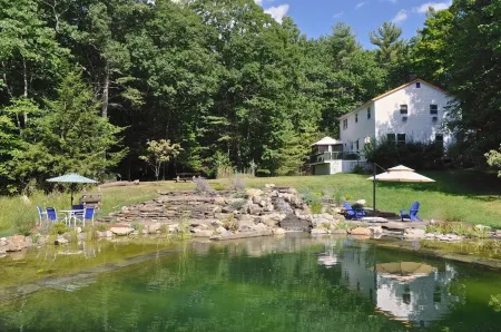 LARGE COZY Sleeps 7 Main House + Opt. Apt 4 More (+Fee) Pool/Pond!