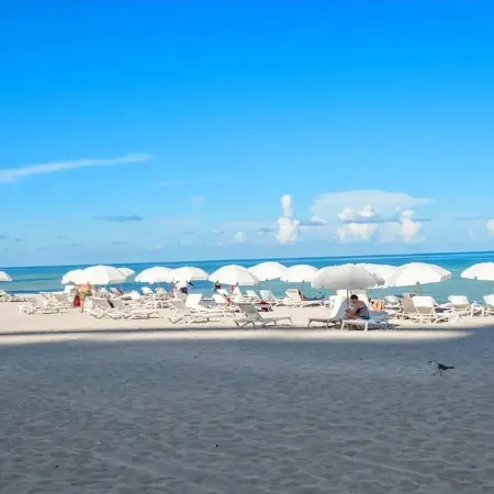 TRUMP Beach Resort - Stunning Beach Front