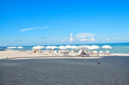 TRUMP Beach Resort - Stunning Beach Front