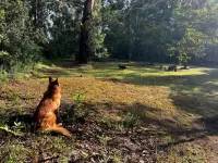 Cozy cabain in the forestal reserve