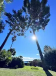 Villa Palm Beach Sea Front