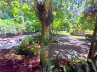 Cabin in La Fortuna with rustic finishes, river and forest