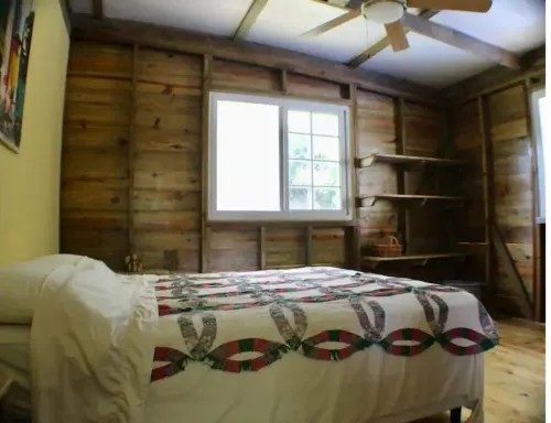 The Birds Nest, birds, close to area surfing,