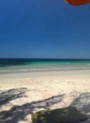 Families&Couples Deluxe Ocean-View Apt 2min walk Mantas Beach 1.5hr from SanJose
