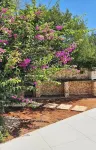Ostuni Beachfront Villa with Pool & Private Parking, Luxury Holidays