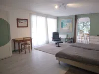 Large garden with swimming pool.