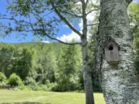 Peaceful Cottage with Mountain Views
