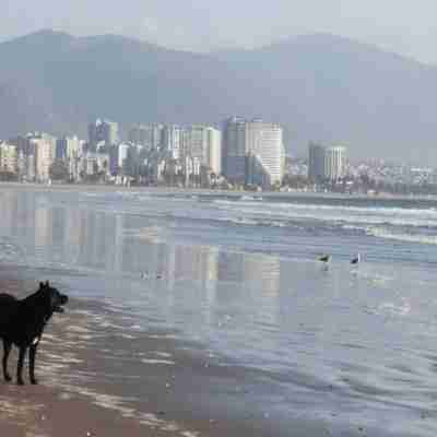 Departamento en Av del Mar, te espera! Fitness & Recreational Facilities