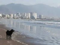 Departamento en Av del Mar, te espera! Hotels in 