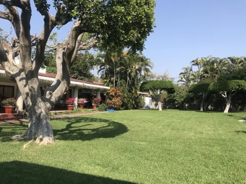 "Cuernavaca's House" Hotels in Tres de Mayo