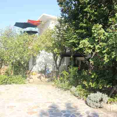 Apartment in Starigrad near the Beach Hotel Exterior