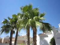 Rojales Villa with Jacuzzi Hotels in Quesada