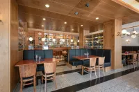 Hotel Conti am Hauptbahnhof - bar