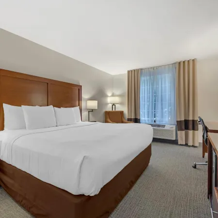 Comfort Inn & Suites Carbondale on the Roaring Fork