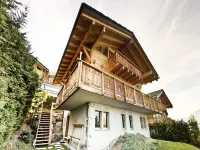 Chalet in 4 Valleys near Ski Lift