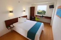 One Xalapa Las Animas