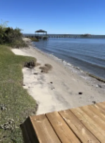 A Cottage with a View