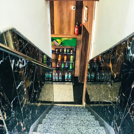 Hotel Royal Aanandam
