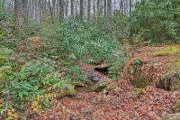 Creekside Family Retreat by Waterfalls and Hiking! - Gym