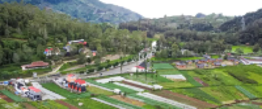 Dieng Luxury Camp By Travelink