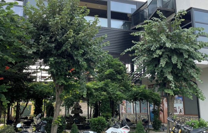 Hotel Dion