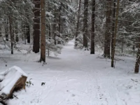 Vacation home for up to 6 people in the beautiful Black Forest Hotels in Schramberg