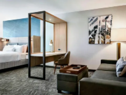 SpringHill Suites by Marriott Ventura Oxnard 奧克斯納德酒店