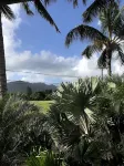 Kauai Palms Hotel - 마운틴 뷰