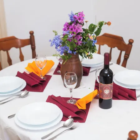 Apartment Summerteracea