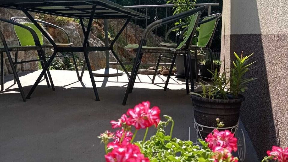 Apartment Zlatko