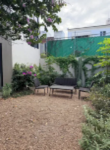 Bauer Haus Hoteles en 