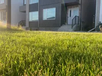 Haven in the Prairies 1BR B Hotels near Fort Gary