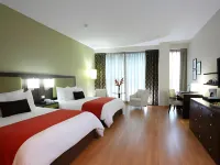 Hotel Ciudad de David