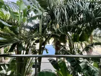 122 PRO - Stay Tropical Apartment