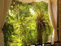 LIA RETREAT & COFFEE Hotels near Sun World Ba Na Hills